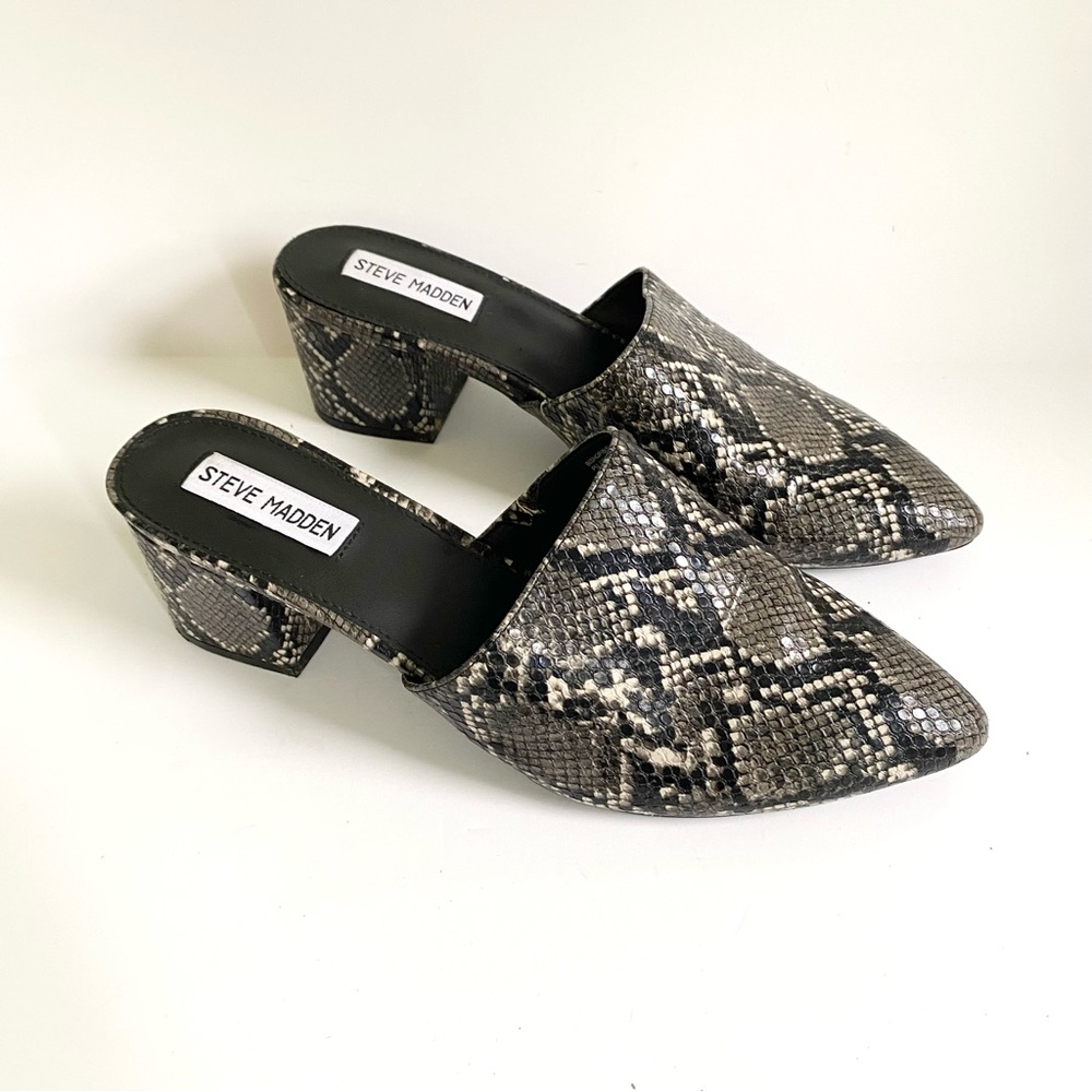 Steve Madden Bishop Snakeskin Mule Chunky Block Heel Pointed Toe‎ Black/tan 10